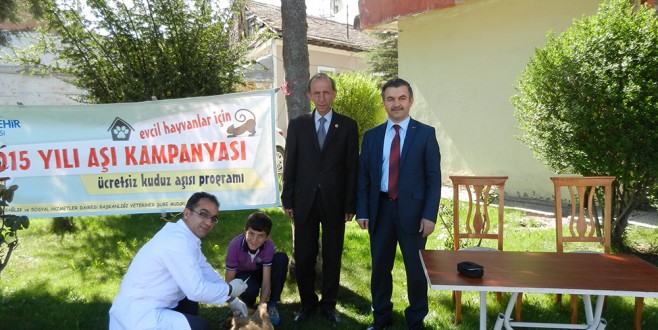 1 YILDA 224 HAYVAN SAHİPLENDİRİLDİ