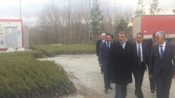 100 BİN ADET FİDAN TOPRAKLA BULUŞTURULACAK