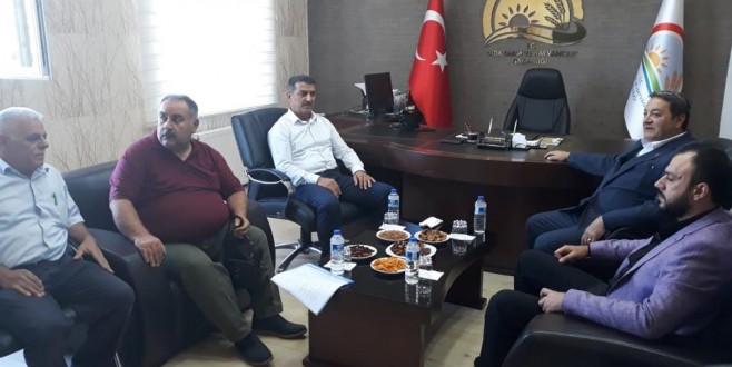 2019 'Dünya Kayısı Sempozyumu Malatya'da yapılacak