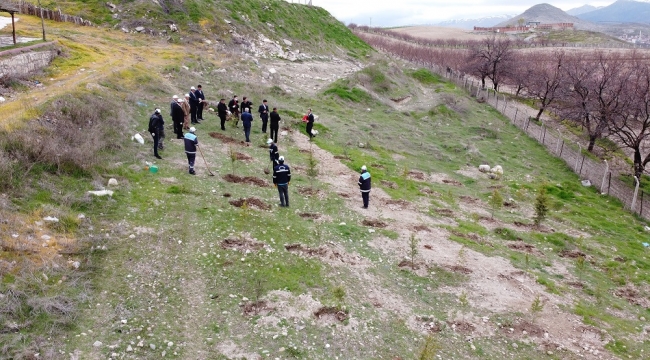 Battalgazi’de 750 Fidan Toprakla Buluştu