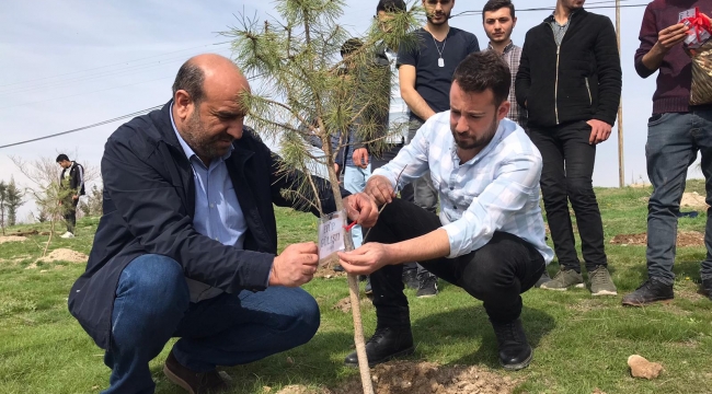 İdlip Şehitleri Anısına Fidan Dikildi