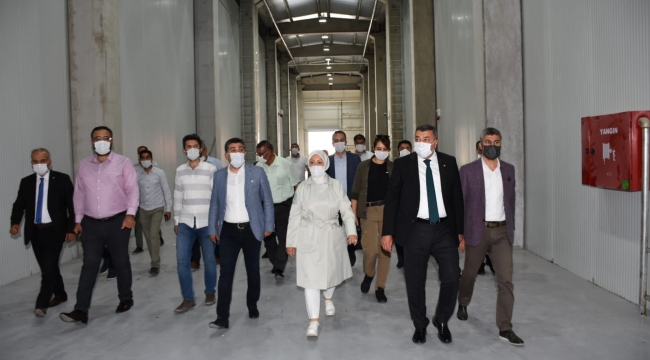 "Kuru Kayısıda Yeni Bir Dönemi Başlatacak"
