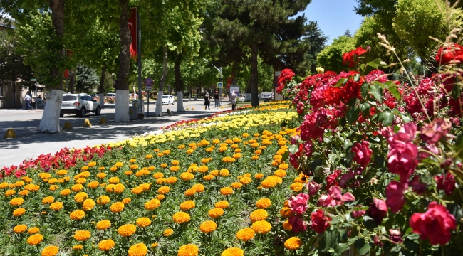 Malatya Rengârenk Görüntüye Bürünüyor