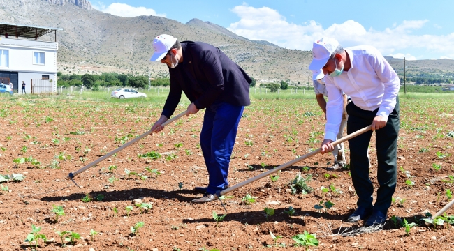 Yeşilyurt’ta Tarımsal Üretim Ve Ar-Ge Sahası Kurdu