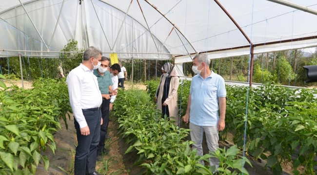 Yeşilyurt Belediyesi Tarımsal Hizmetlerde Büyük Bir Mesafe Kat Etti