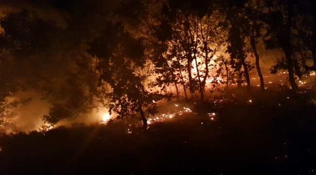 3 Günde 139 Yangına Müdahale Edildi