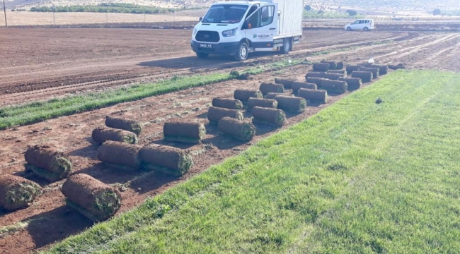 "Rulo Çim Üretimi 40 Bin M² Alanda Yapılacak"
