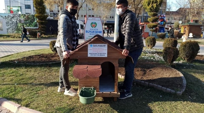 Ülkü Ocakları Sokak Hayvanlarını Unutmadı