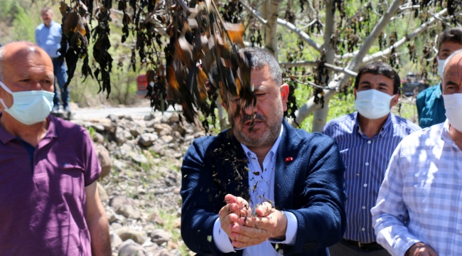Afet bölgesi ilan edilmesi gerekiyor