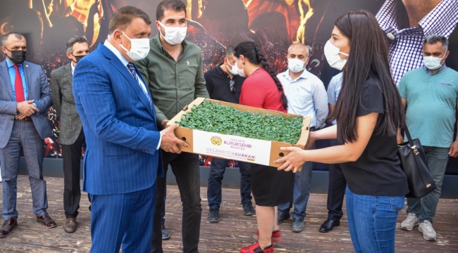 Çiftçilere Sebze Fidesi Desteği Verildi