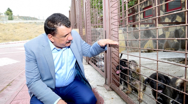 Tüm İhtiyaçlar Karşılanıyor