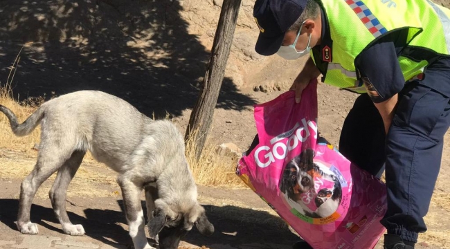 Jandarma'dan Down sendromlu çocuklar ile At Çiftliğine Ziyaret