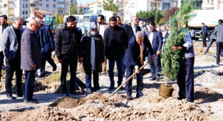 10 Bin 600 Adet Fidan Toprakla Buluştu