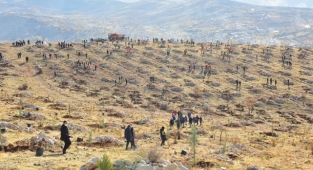 Malatya’da Fidan Dikme Etkinliği Düzenlendi