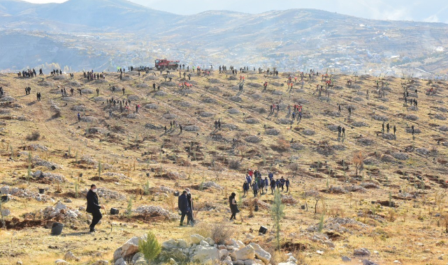 Malatya’da Fidan Dikme Etkinliği Düzenlendi
