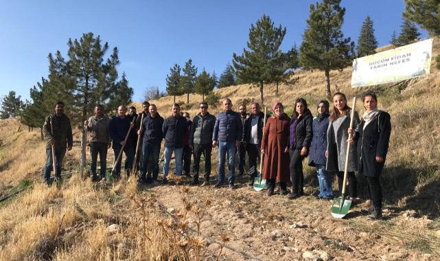 Sultansuyu Tarım İşletmesi'nde Fidan Dikimi Yapıldı