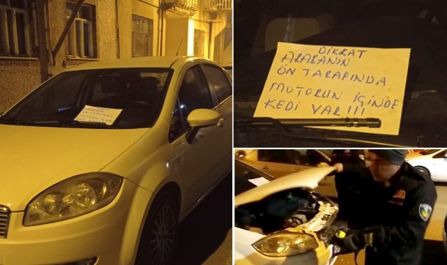 Araç Motoruna Sıkışan Kediyi İtfaiye Ekipleri Kurtardı