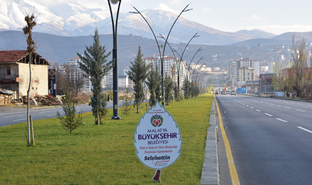 Büyükşehir'in Ağaçlandırma Çalışmaları Sürüyor