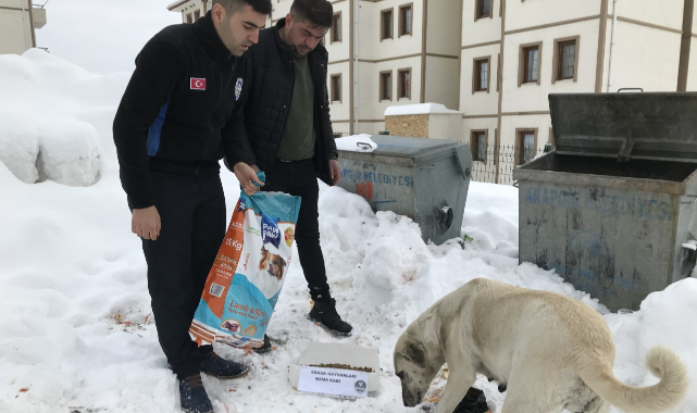 Arapgir Belediyesi,  Sokak Hayvanlarını Unutmadı