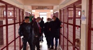 “Sahipsiz Hayvanların Sahibi Olduklarını Düşünüyorum”