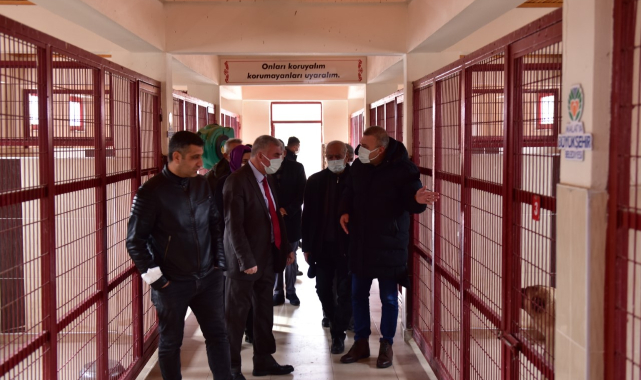 “Sahipsiz Hayvanların Sahibi Olduklarını Düşünüyorum”