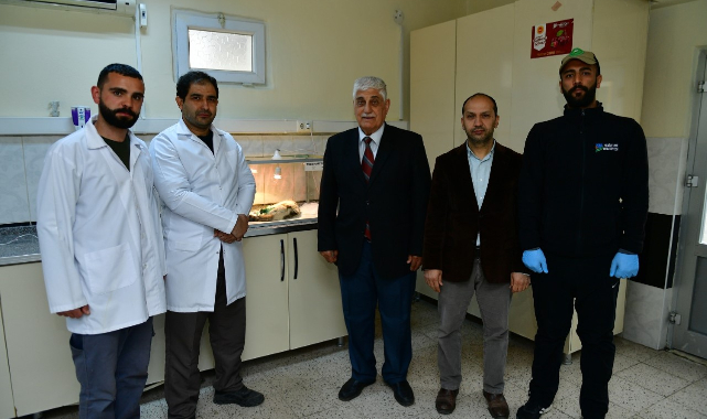 Ayağı Demir Kapıya Sıkışan Kedi, Ameliyat Edildi