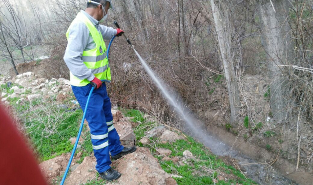 Haşereyle Mücadele Çalışmaları Devam Ediyor