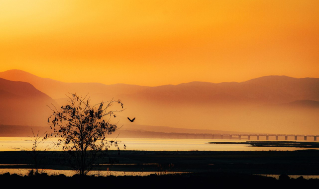 Kayısı Çiçeği Şenliği Fotoğraf Yarışması Tamamlandı