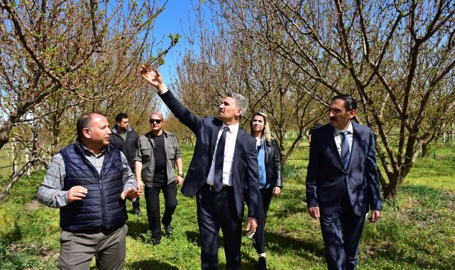 Vali Baruş, Kayısı Bahçelerinde İncelemelerde Bulundu