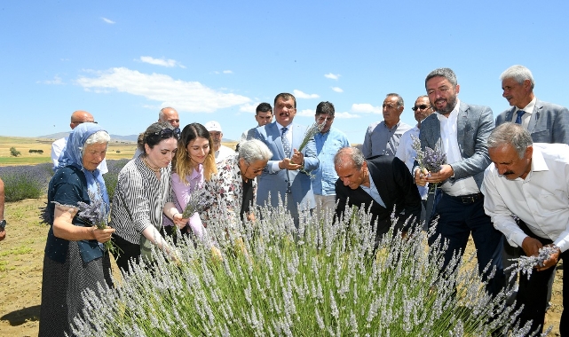 Başkan Gürkan, Lavanta Hasadına Katıldı