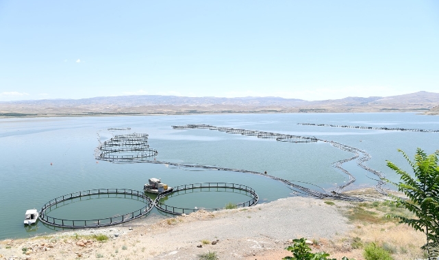 Malatya’da Tarıma Dayalı Su Ürünleri Yetiştiriciliği OSB Kuruluyor