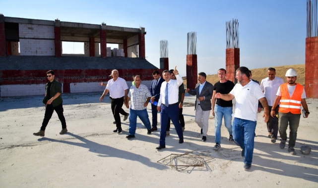 Vali Şahin, Bir Dizi İncelemelerde Bulundu