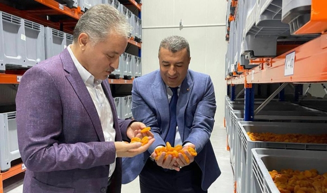 Çakır: 8 Ayda 39 Bin Ton Kayısı İhraç Edildi, 207 Milyon Dolar Gelir Sağlandı
