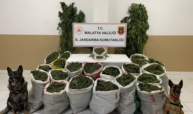 Huzur Operasyonları Devam Ediyor