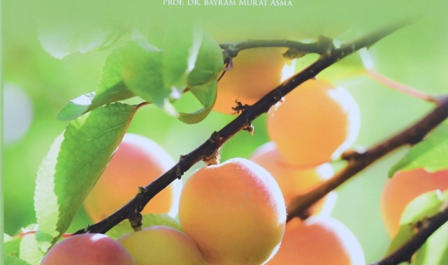 Malatya Kayısısı Kitabı “Gourmand World Cookbook Awards 2023”De Finalde Yarışacak