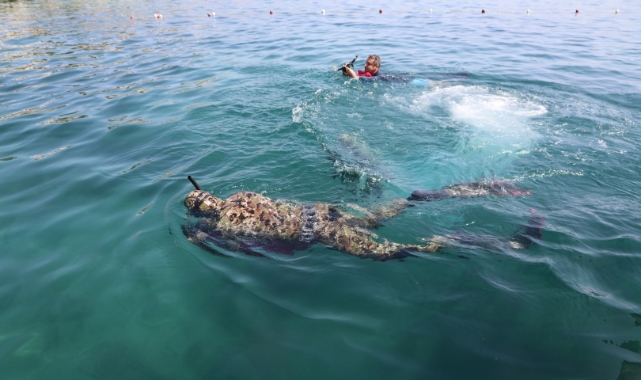 Gündoğan’da Deniz Dibi Temizliği Yapıldı