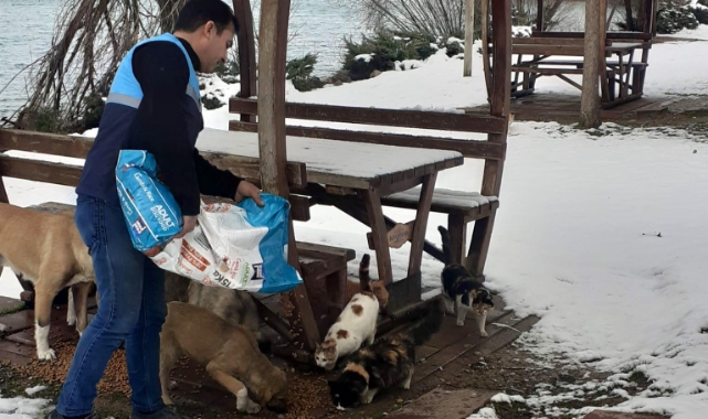 “Can Dostlarımızı Soğukta Yalnız Bırakmıyoruz”