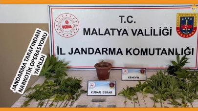 JANDARMA TARAFINDAN NARKOTİK OPERASYONU YAPILDI