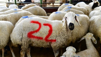 41 NOKTADA KURBAN SATIŞ VE KESİMİ YAPILACAK