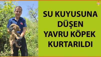 SU KUYUSUNA DÜŞEN YAVRU KÖPEK KURTARILDI