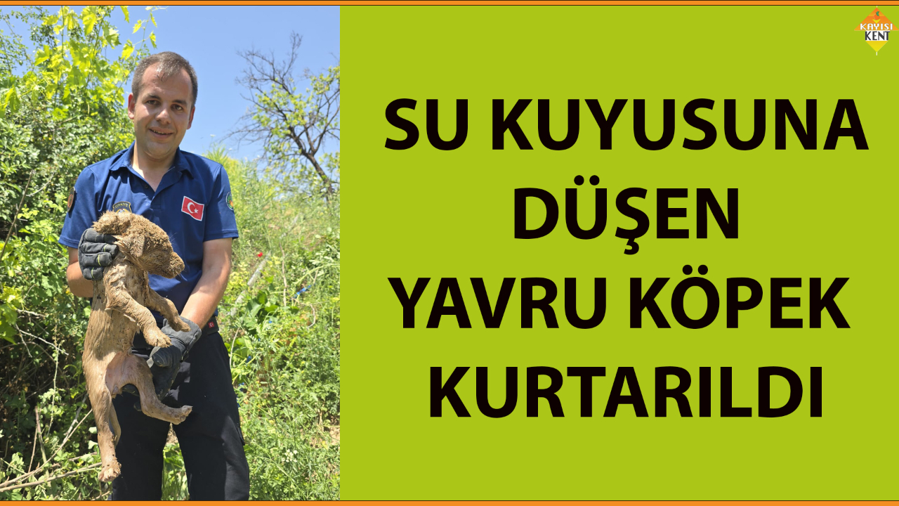 SU KUYUSUNA DÜŞEN YAVRU KÖPEK KURTARILDI