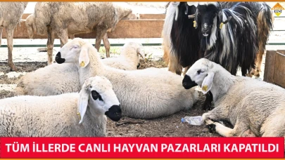 TÜM İLLERDE CANLI HAYVAN PAZARLARI KAPATILDI