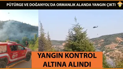 PÜTÜRGE VE DOĞANYOL’DA ORMANLIK ALANDA YANGIN ÇIKTI
