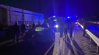 MALATYA’DA BARİYERLERE ÇARPAN OTOMOBİLDE 4 KİŞİ YARALANDI