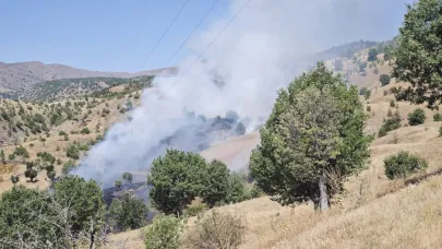 PÜTÜRGE’DE ORMANLIK ALANDA YANGIN ÇIKTI