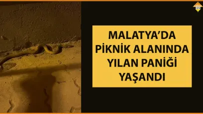 MALATYA’DA PİKNİK ALANINDA YILAN PANİĞİ YAŞANDI