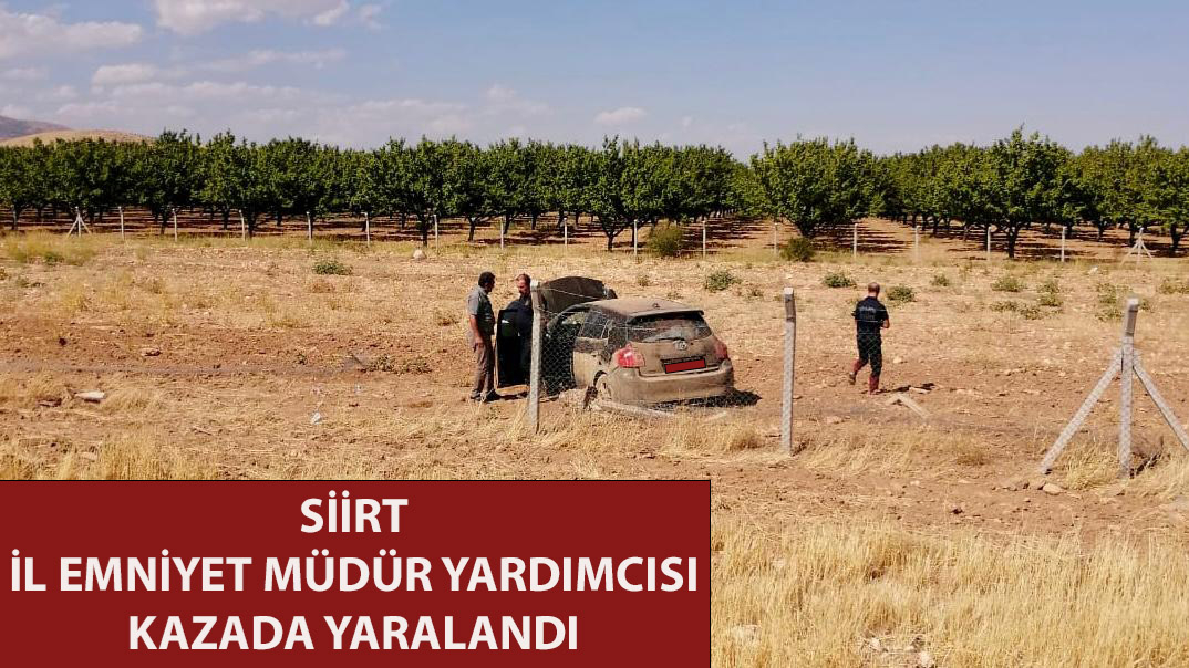SİİRT İL EMNİYET MÜDÜR YARDIMCISI KAZADA YARALANDI