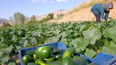 DOĞANŞEHİR’DE GELENEKSEL YÖNTEMLER MODERN ÜRETİMLE BULUŞUYOR