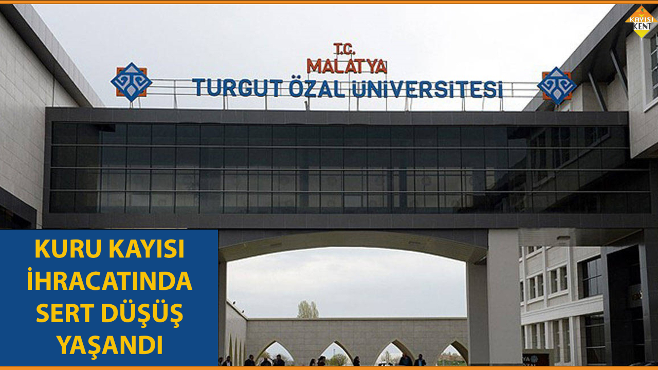 KURU KAYISI İHRACATINDA SERT DÜŞÜŞ YAŞANDI