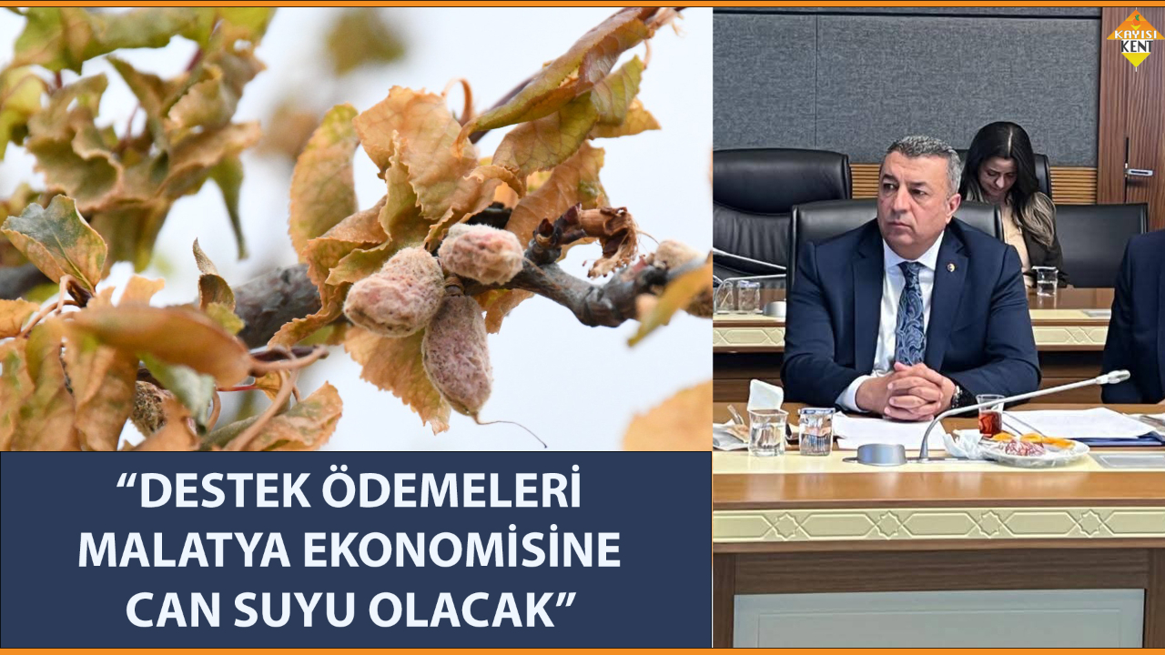 “DESTEK ÖDEMELERİ MALATYA EKONOMİSİNE CAN SUYU OLACAK”